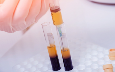 Usługi na miarę XXI wieku.